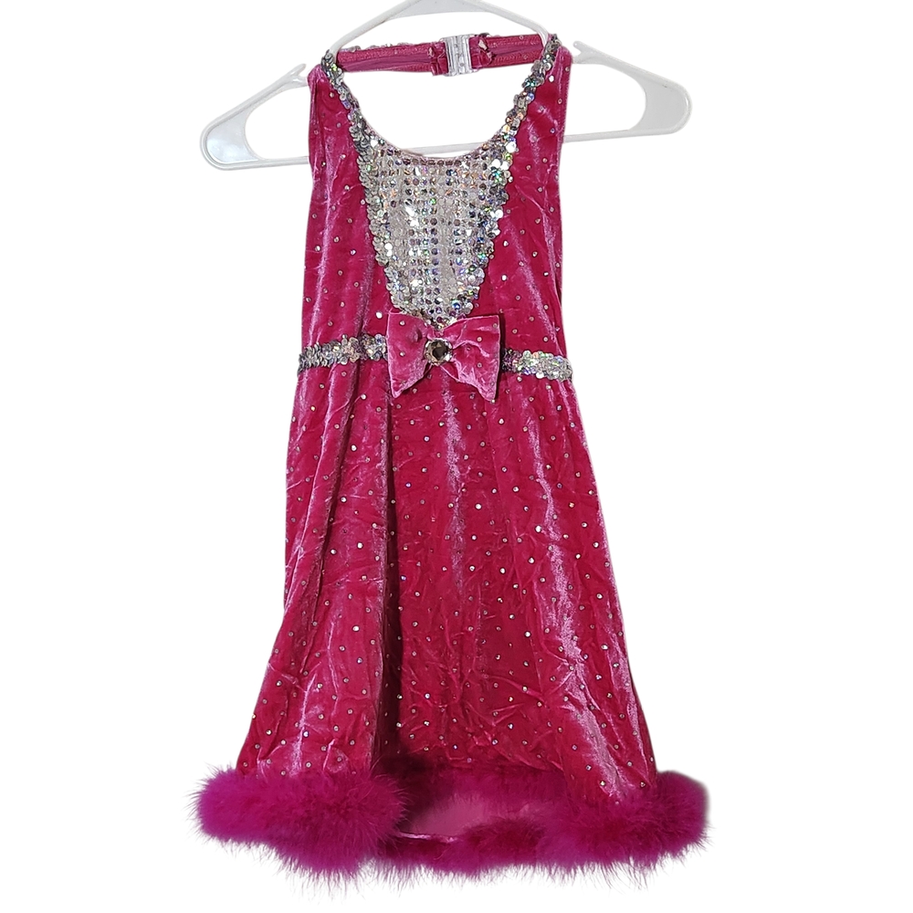A Wish Come True Pink and Silver Dance Costume Girls Large 12-14 Solo Costume